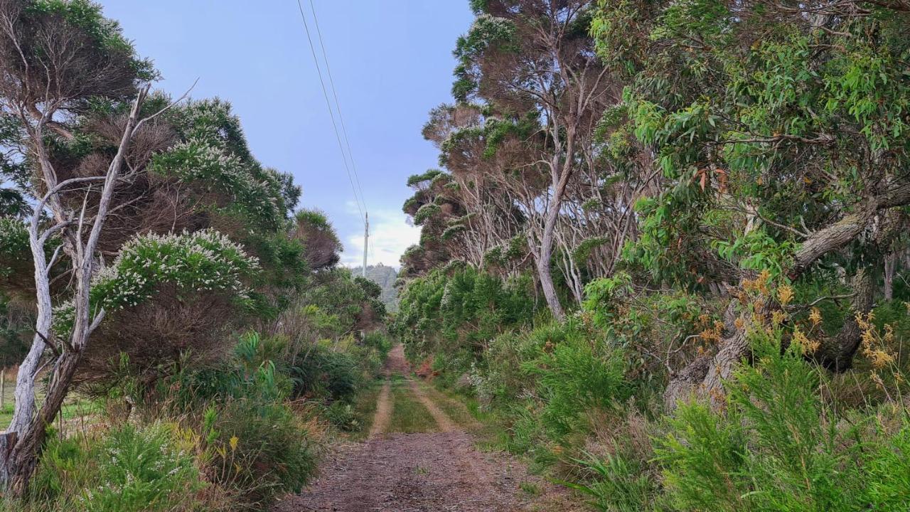 Cape Howe Cottages Lowlands Eksteriør bilde